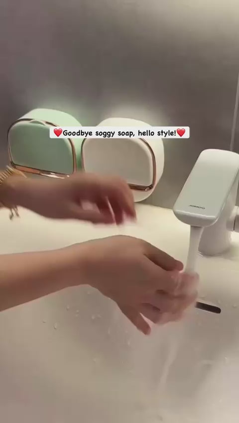 Flip-Up Wall Mounted Soap Holder